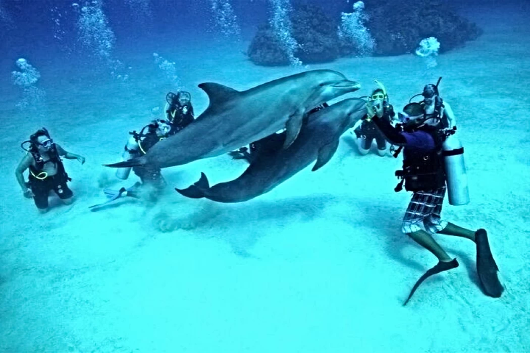 Marsa Alam 3 Sataya Reef